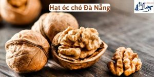 Hạt óc chó Đà Nẵng